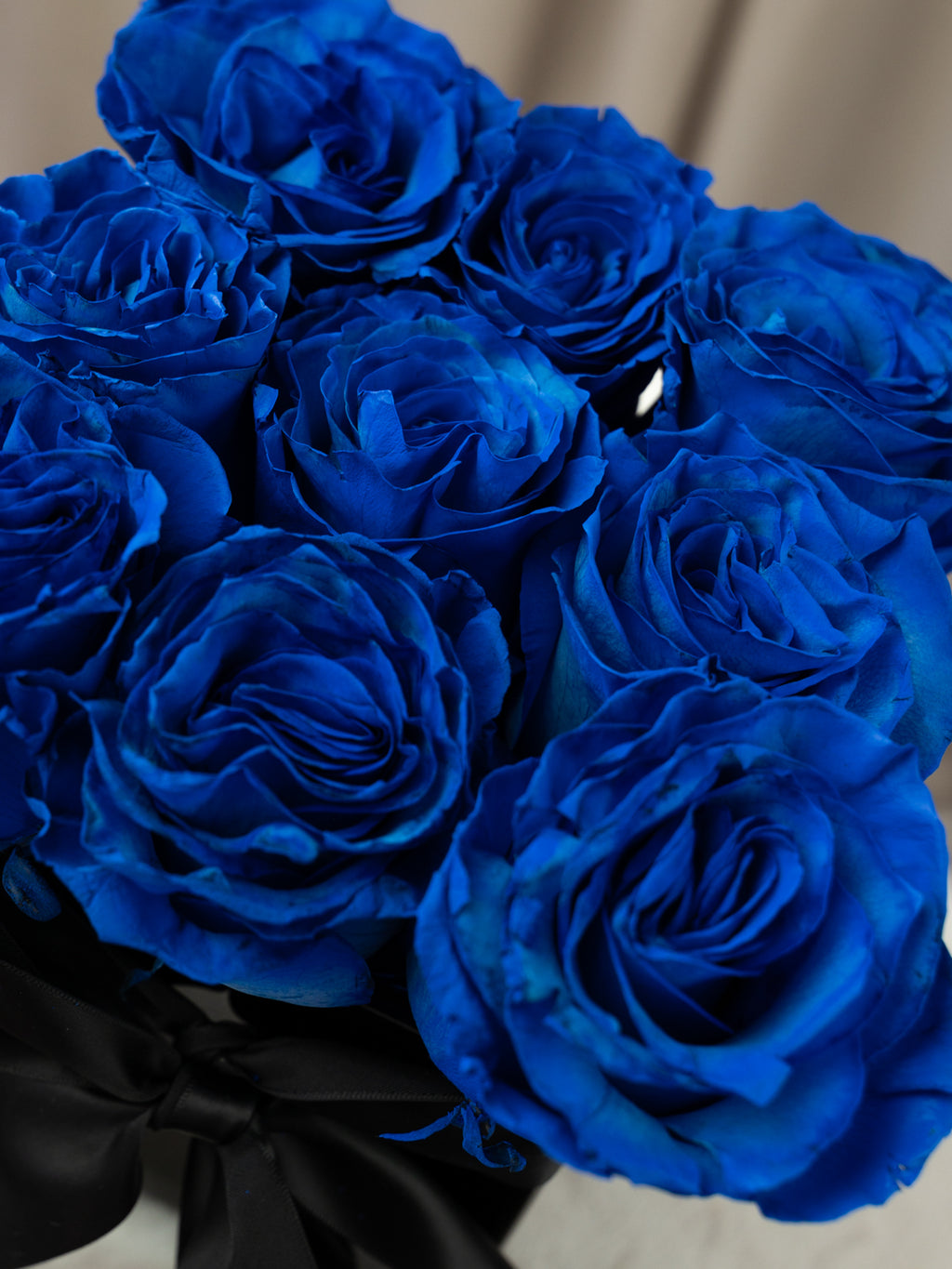 A close-up bouquet of vivid royal blue roses tied together with a black ribbon, photographed against a soft beige background.