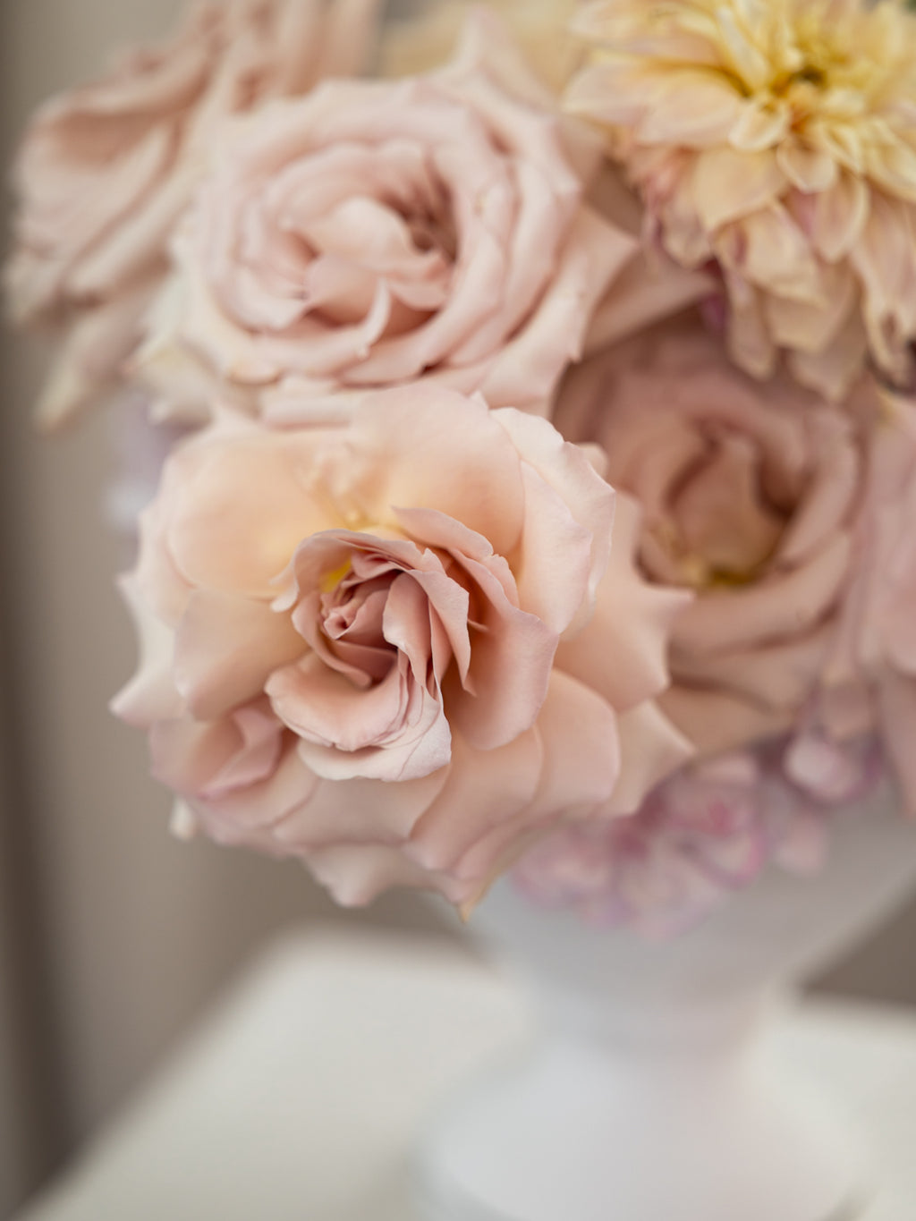 A close-up of a bouquet of pale blush pink roses and cream dahlia flowers in a white vase, photographed in soft, shallow depth of field.