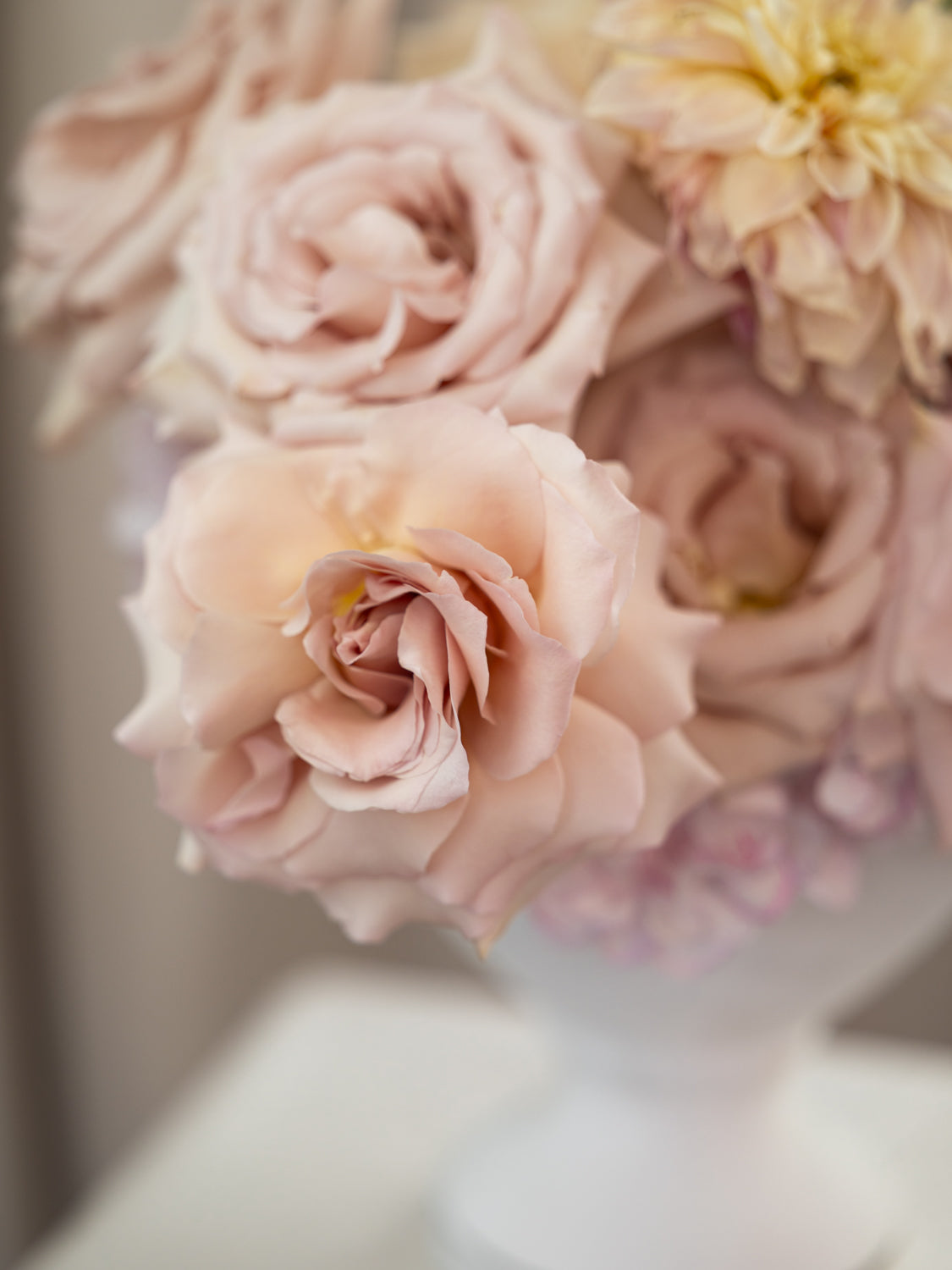 A close-up of a bouquet of pale blush pink roses and cream dahlia flowers in a white vase, photographed in soft, shallow depth of field.