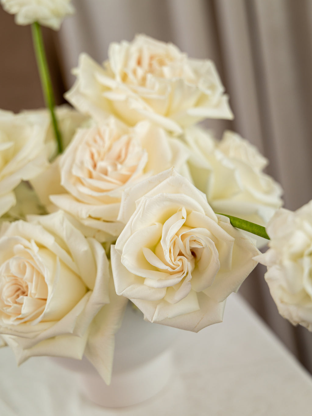 A close-up of cream-colored roses arranged in a white vase, with soft neutral curtains in the background.