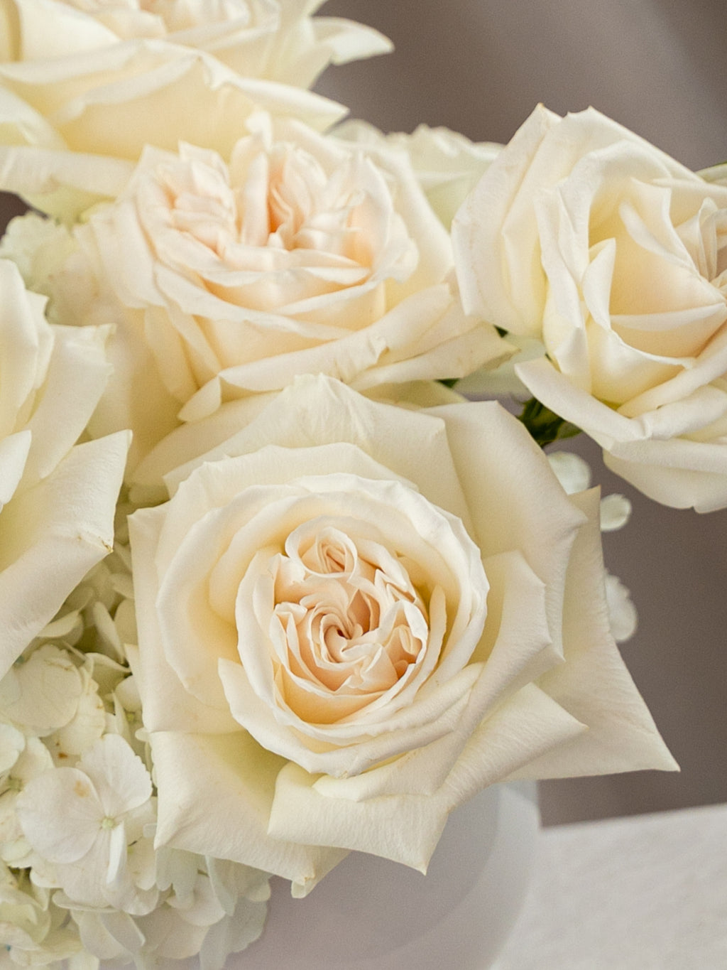 A close-up of cream-colored roses and white hydrangeas arranged in a white vase against a soft neutral background.