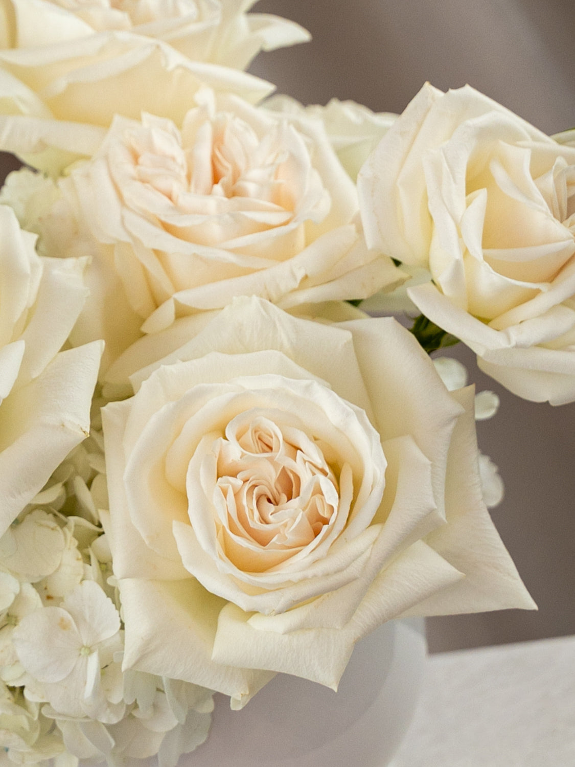 A close-up of cream-colored roses and white hydrangeas arranged in a white vase against a soft neutral background.