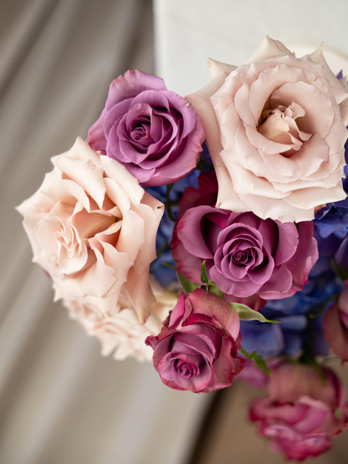 A close-up bouquet of roses in soft blush pink and deep purple tones, with some blue flowers visible in the background.