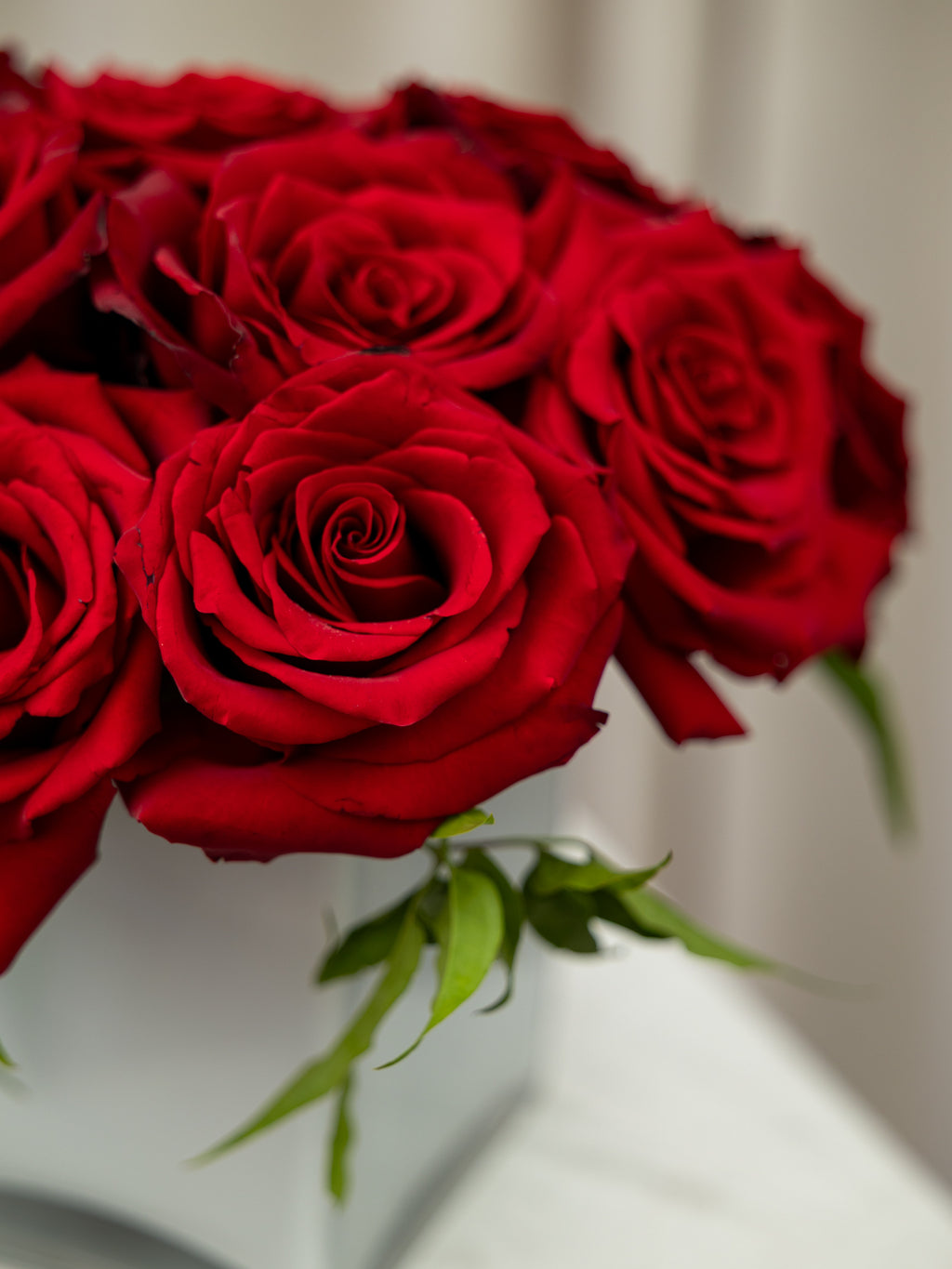A close-up of a bouquet of deep red roses with green stems in a white vase, set against a soft, light beige background.