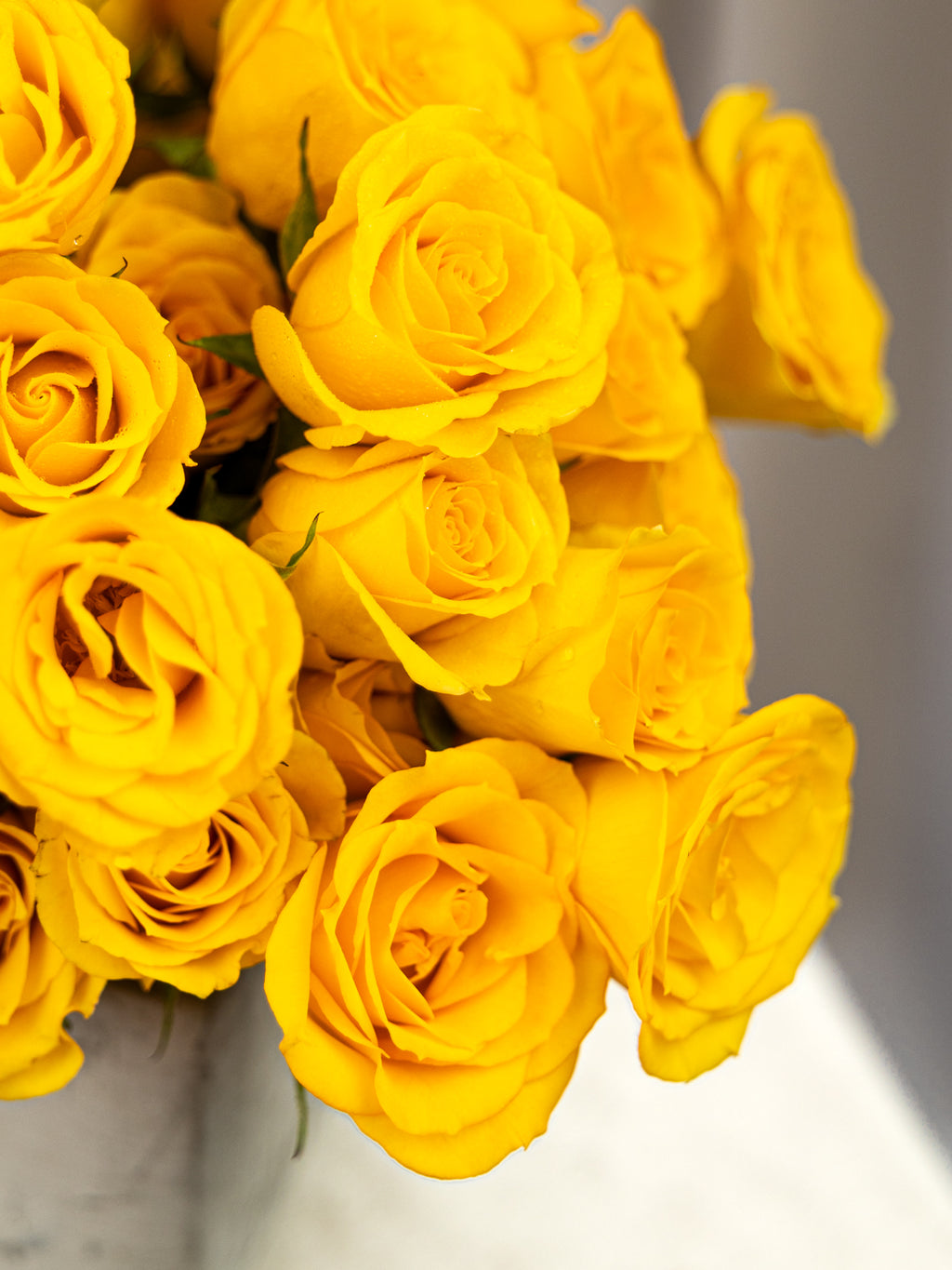 A close-up bouquet of bright yellow roses with tightly curled petals, photographed against a soft gray and white blurred background.