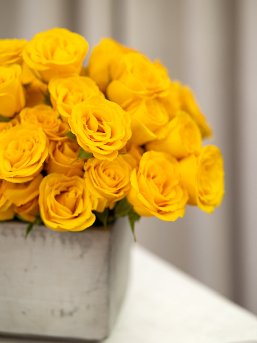 A close-up of a bouquet of bright yellow roses arranged in a square gray container on a white surface with a softly blurred neutral background.