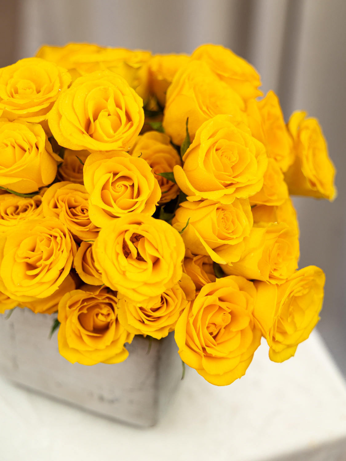 A dense bouquet of bright yellow roses arranged in a square gray vase on a white surface with a soft neutral background.