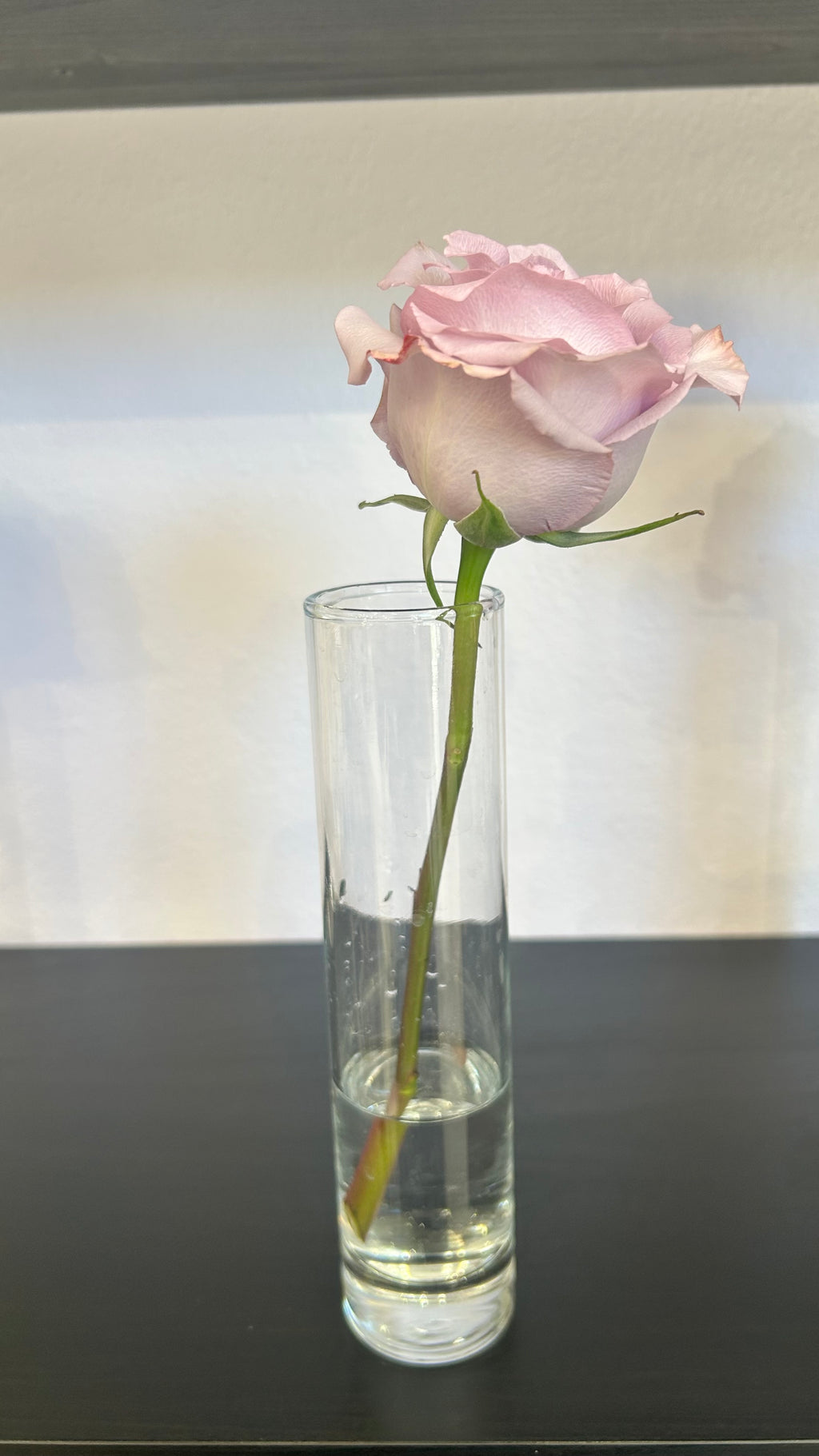 Rose Stem