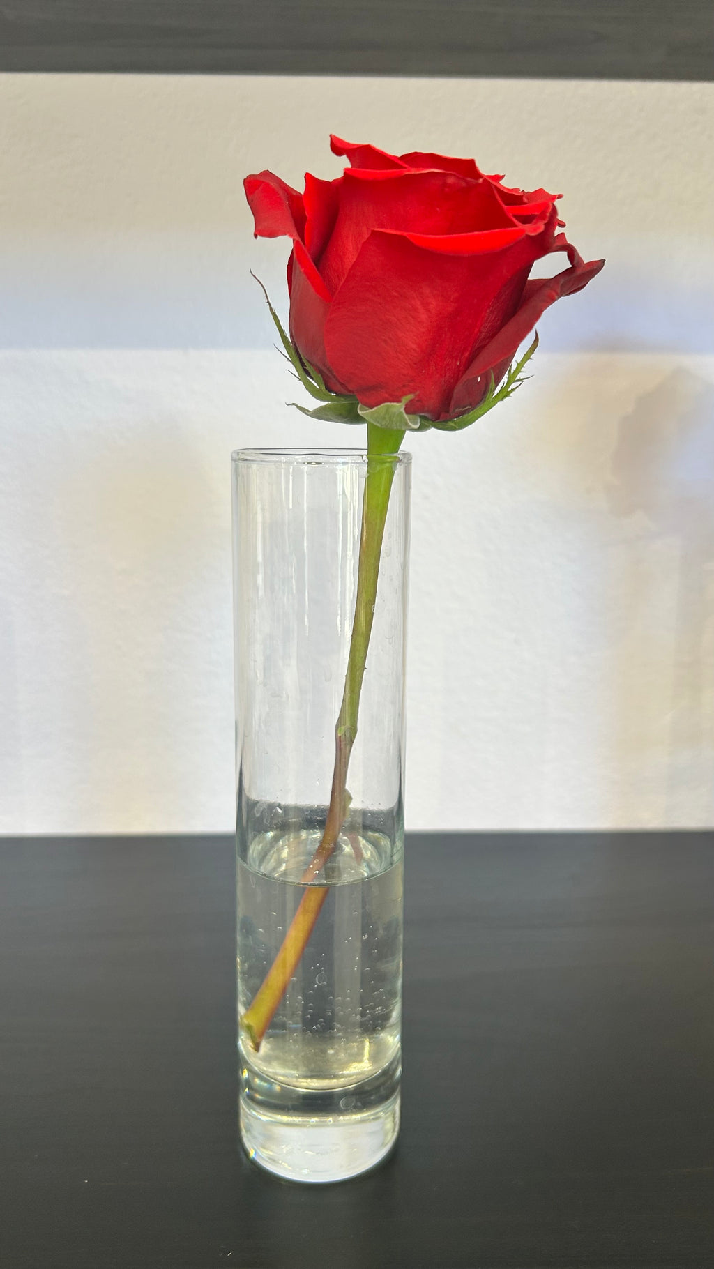 Rose Stem