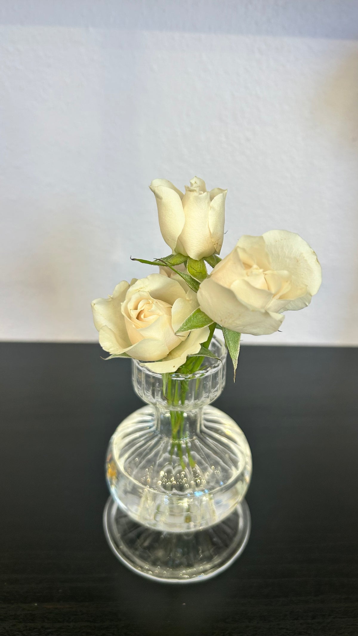 Rose Stem