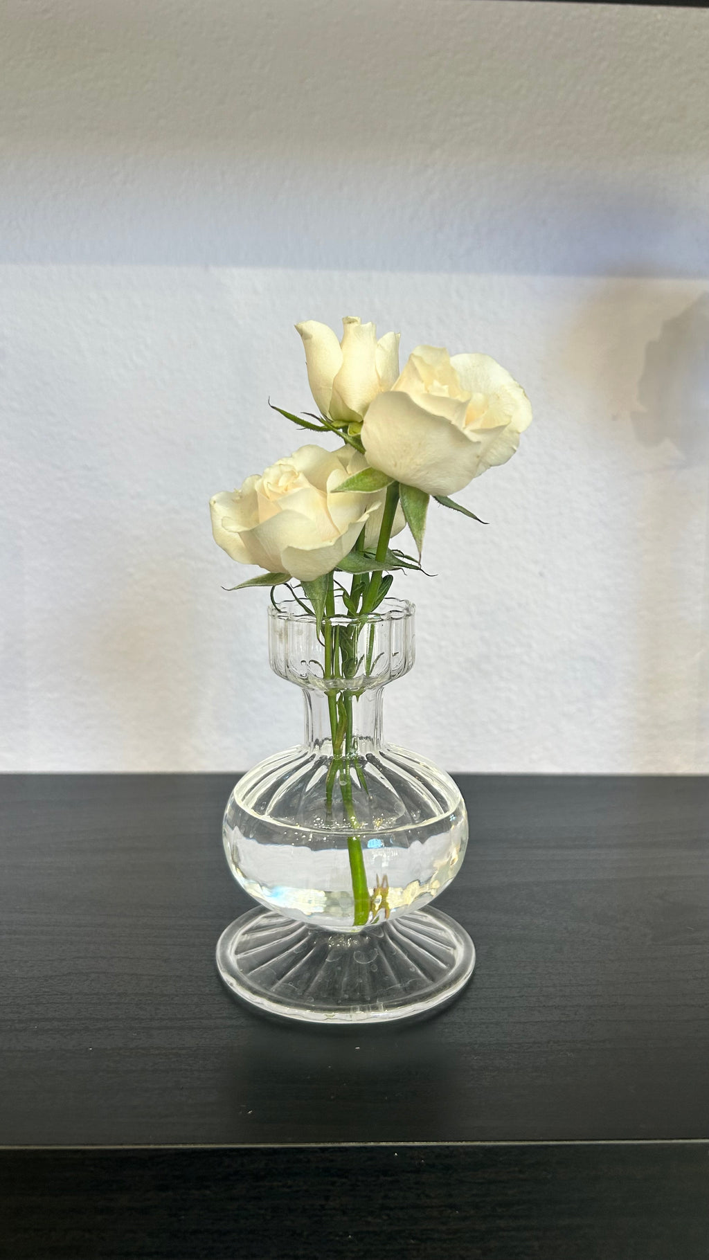 Rose Stem