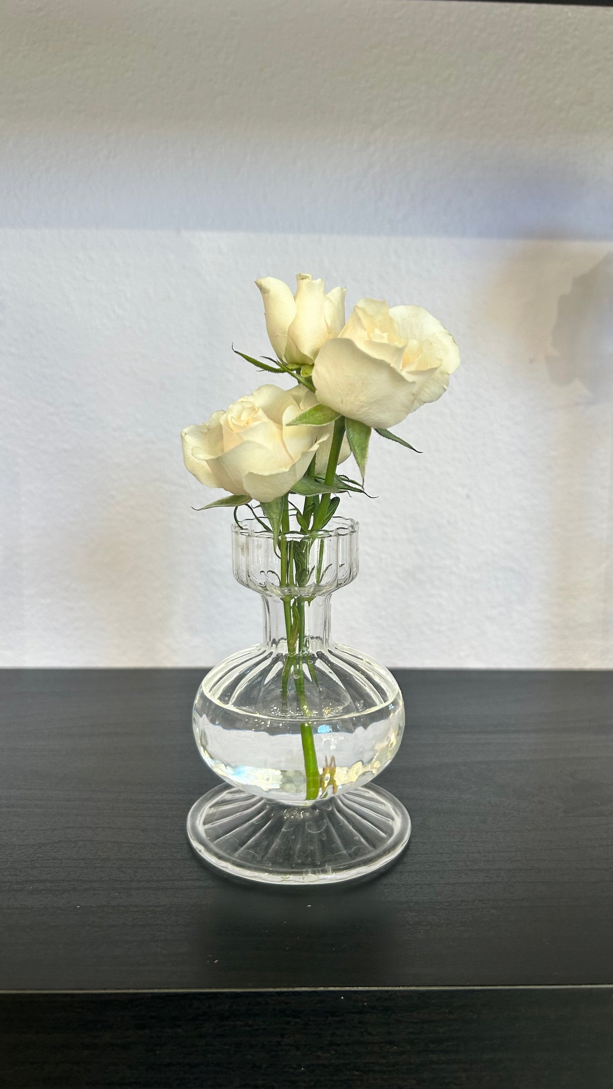 Rose Stem